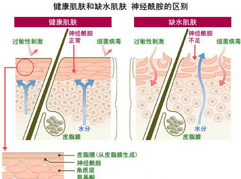 中养科技：化妆品中的成分有哪些作用？